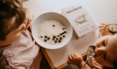 https://www.kendamil.cz/wp-content/uploads/2023/01/Kase-v-detskem-jidelnicku-376x224.jpg