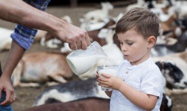 https://www.kendamil.cz/wp-content/uploads/2025/05/Proc-rodice_opt-376x224.jpg