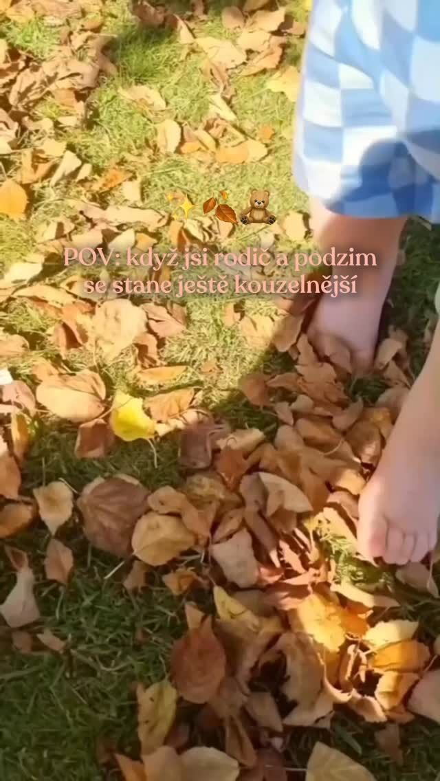 Podzimní mód: aktivován ✔️
Označ někoho, kdo si s tebou musí zajít na pumpkin spice latté 🎃🍂☕🧣🧡