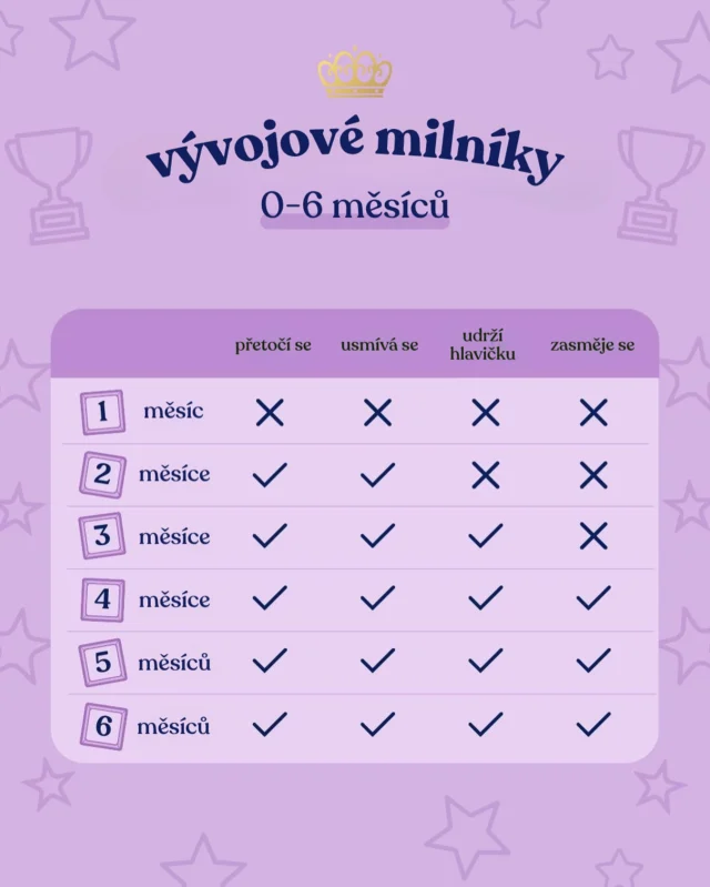 Sledovat naše nejmenší, jak rostou, je opravdu kouzelné. ✨

První půlrok je plný milníků a výjimečných momentů. Který z nich je tvůj nejoblíbenější? 💜

P.S.: Ber to jen jako orientační přehled — každé miminko je jedinečné a vyvíjí se svým vlastním tempem. Pokud máš jakékoli obavy o vývoj svého miminka, poraď se se svým lékařem nebo pediatrem. 👶