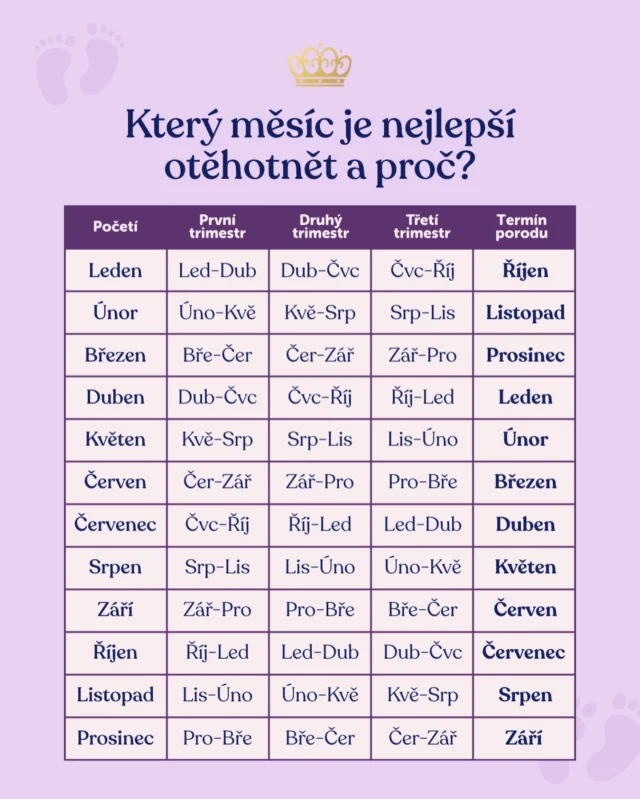Který měsíc je podle TEBE nejlepší na otěhotnění – a proč? 🤍

👇 Napiš nám svůj názor do komentářů. Rádi si přečteme všechny postřehy!